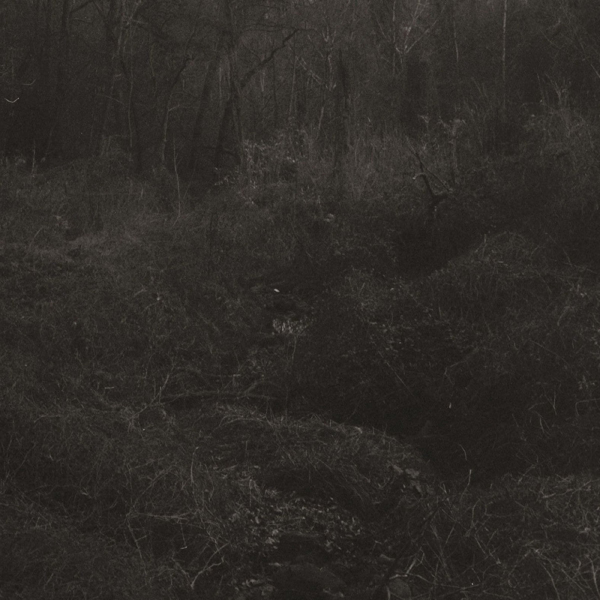 Lesley Mok - Transient - Vinyl