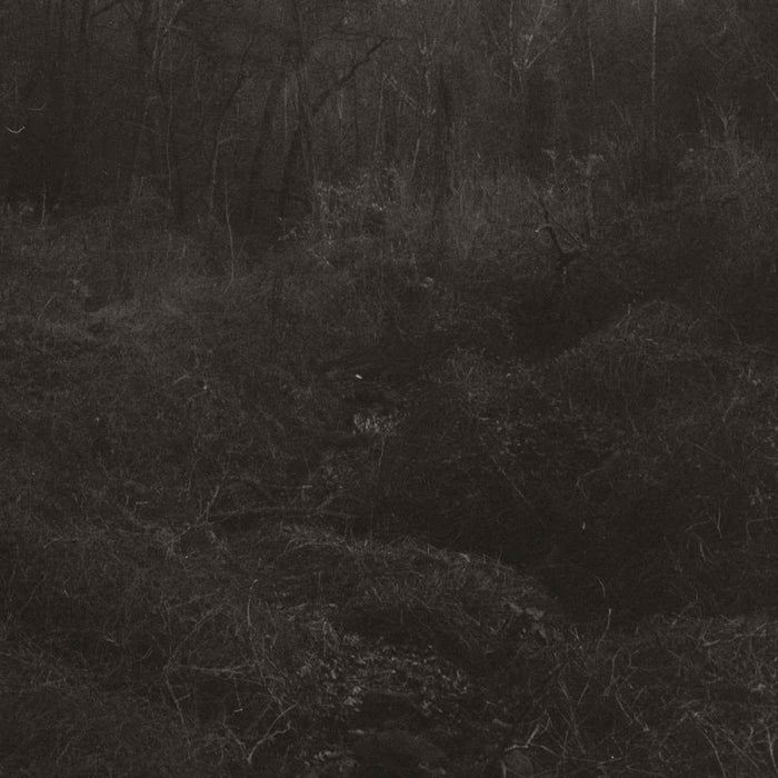 Lesley Mok - Transient - Vinyl
