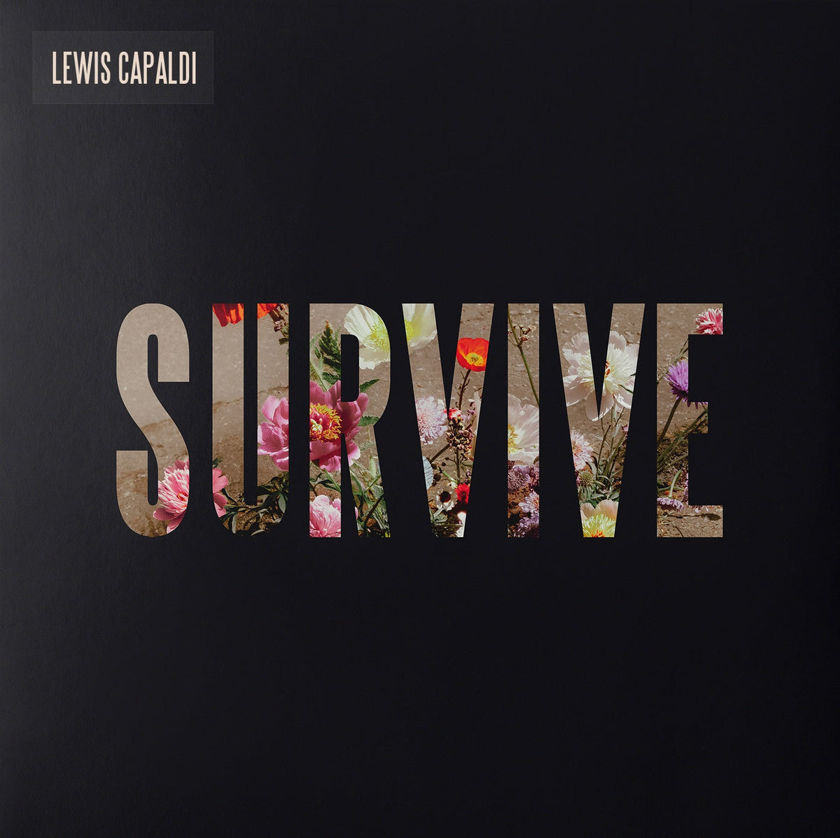 Lewis Capaldi - Survive [Clear 12" EP] - Vinyl
