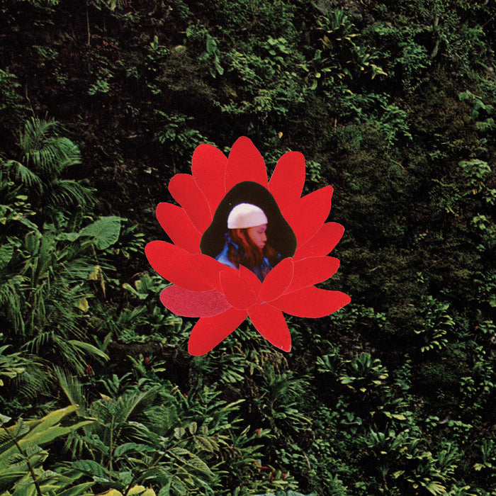 Lionmilk - When The Flowers Bloom - Vinyl