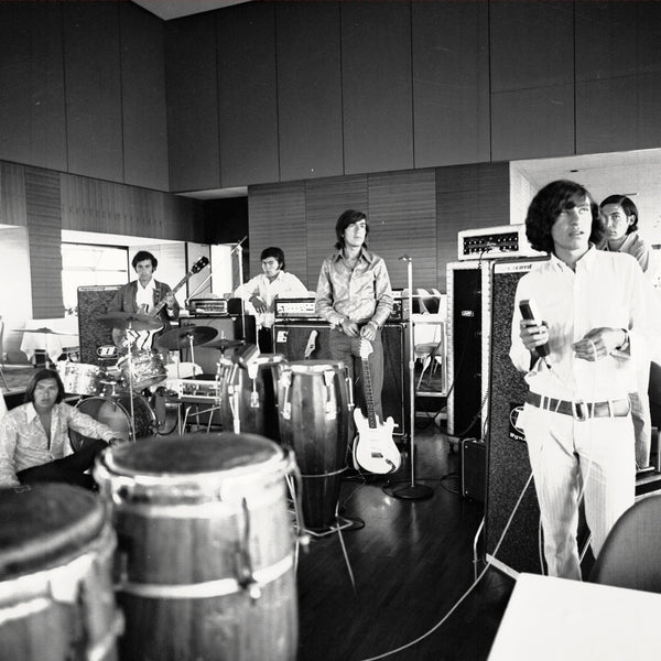 Los Texao - El Sonido Niebla De Los Texao - Vinyl