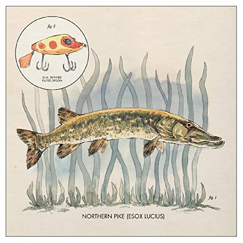 Lowe, Nick - Lay It On Me - Vinyl