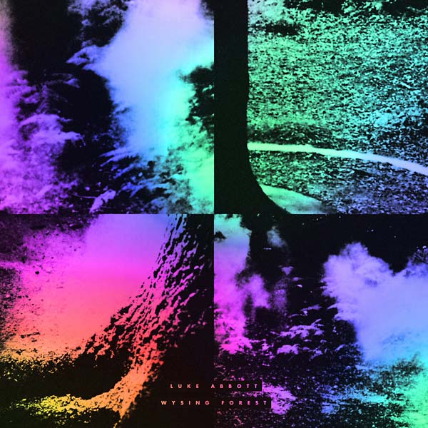 LUKE ABBOTT - Wysing Forest - Vinyl