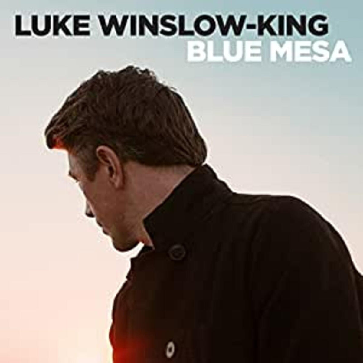 Luke Winslow-King - Blue Mesa - Vinyl