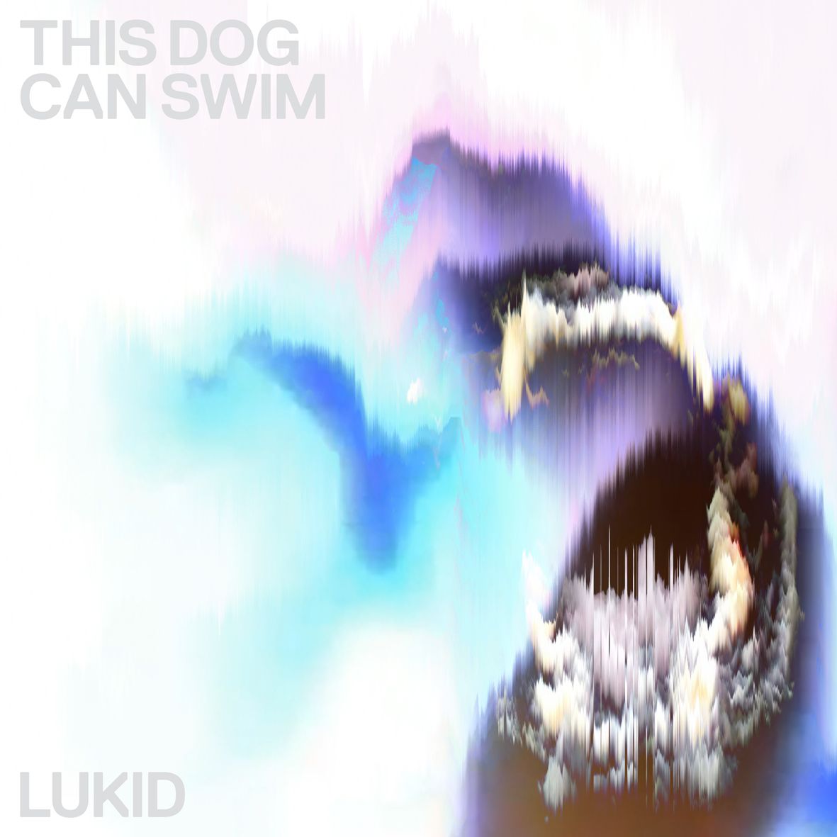 Lukid - This Dog Can Swim 12" - Vinyl