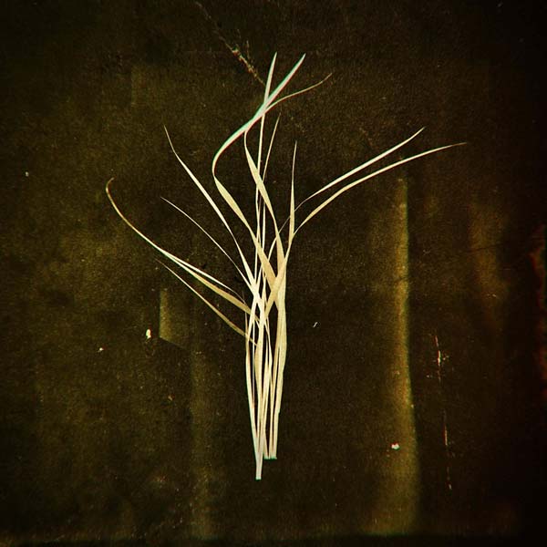 LUMISOKEA - Mnemosyne - Vinyl