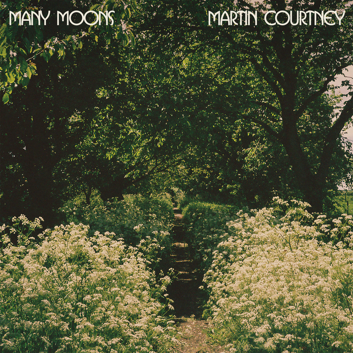 Martin Courtney - Many Moons - Vinyl