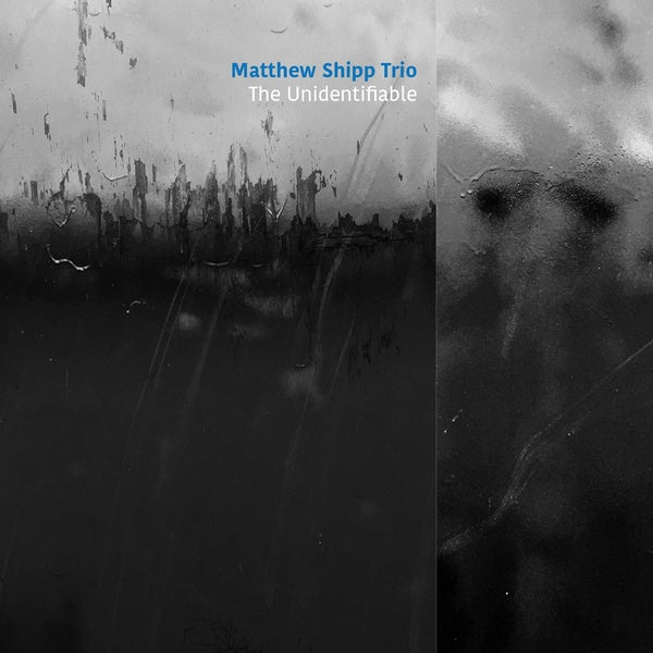 MATTHEW SHIPP TRIO - The Unidentifiable - CD