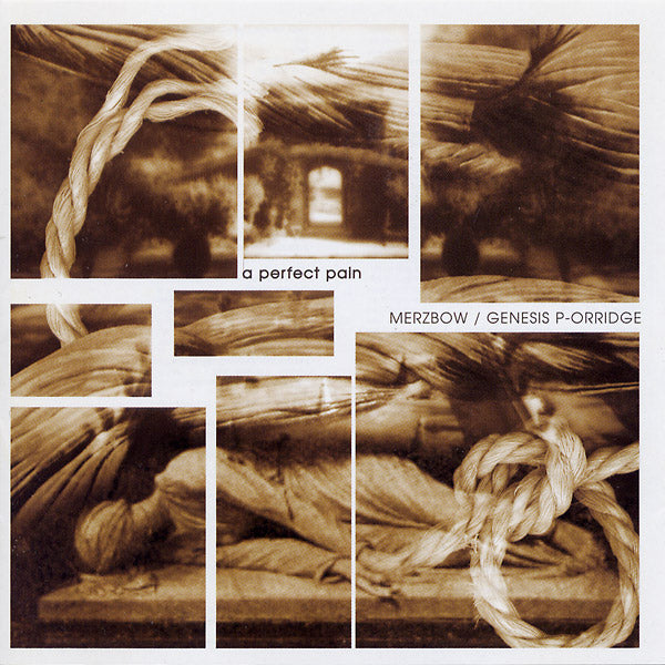 MERZBOW/GENESIS BREYER P-ORRIDGE - A Perfect Pain - CD