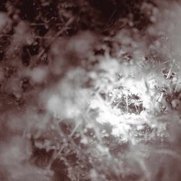 MIKE WEIS - Don't Know, Just Walk - Vinyl