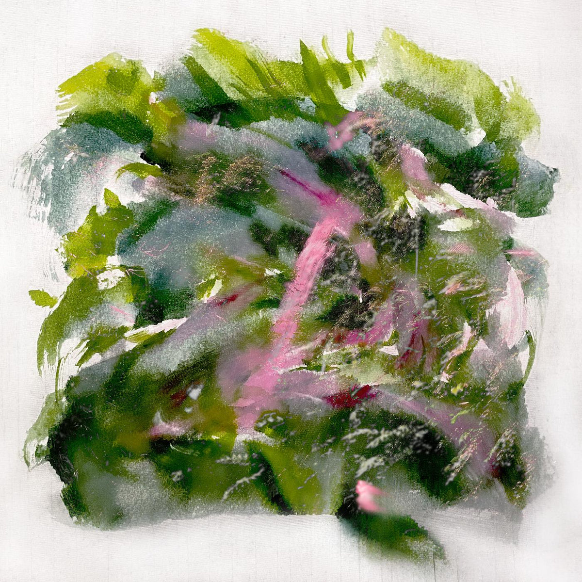 MIZU - Forest Scenes (COLOR-IN-COLOR LIGHT PINK & RED VINYL) - Vinyl