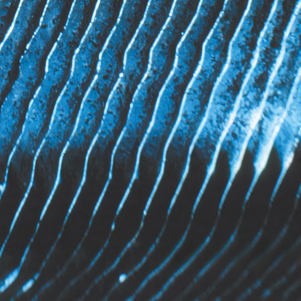MONOLAKE - Gravity - Vinyl