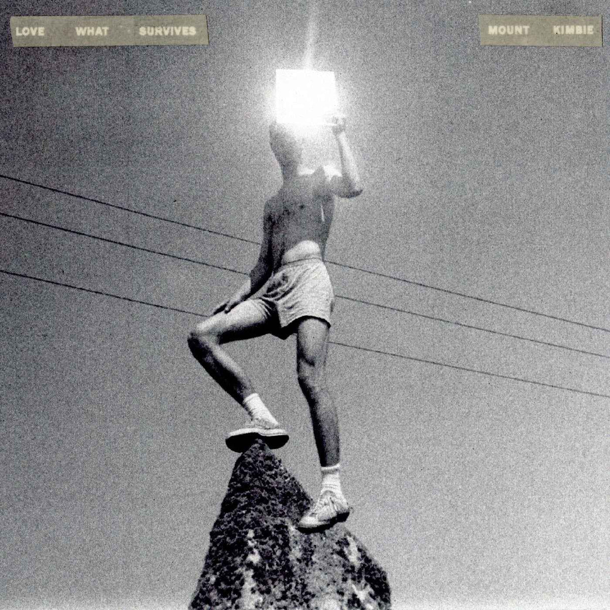 Mount Kimbie - Love What Survives - Vinyl