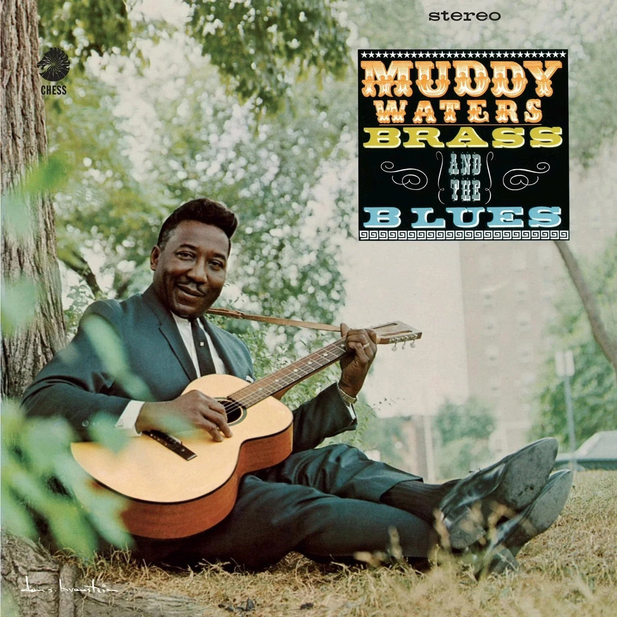 Muddy Waters - Muddy, Brass And The Blues (Chess Acoustic Sounds Series) [180G LP] - Vinyl