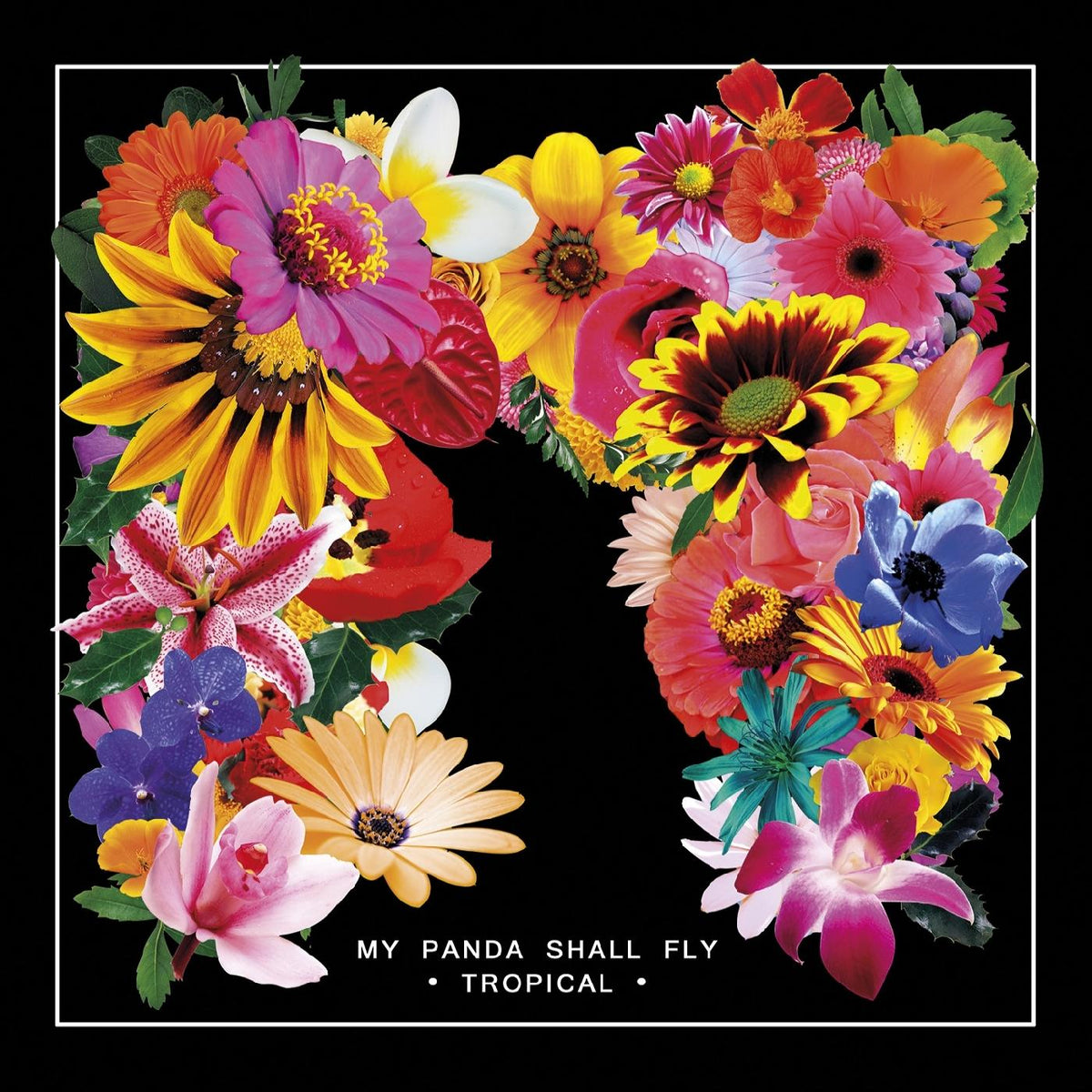 My Panda Shall Fly - Tropical - Vinyl