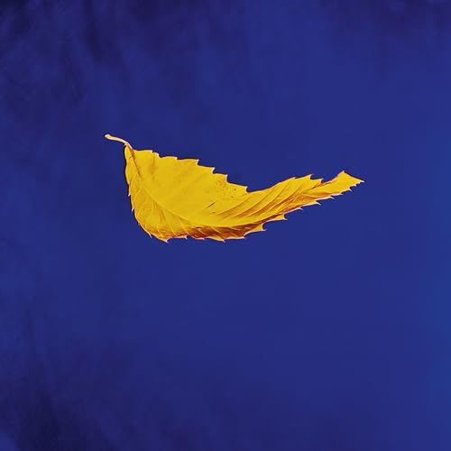 New Order - True Faith (2023 Remaster) - Vinyl