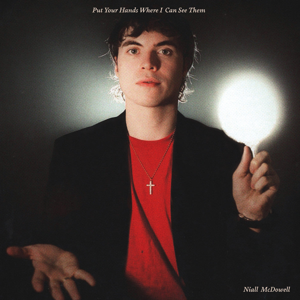 Niall Mcdowell - Put Your Hands Where I Can See Them - Vinyl