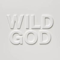 Nick Cave & the Bad Seeds - Wild God (Clear Colored Vinyl) - Vinyl