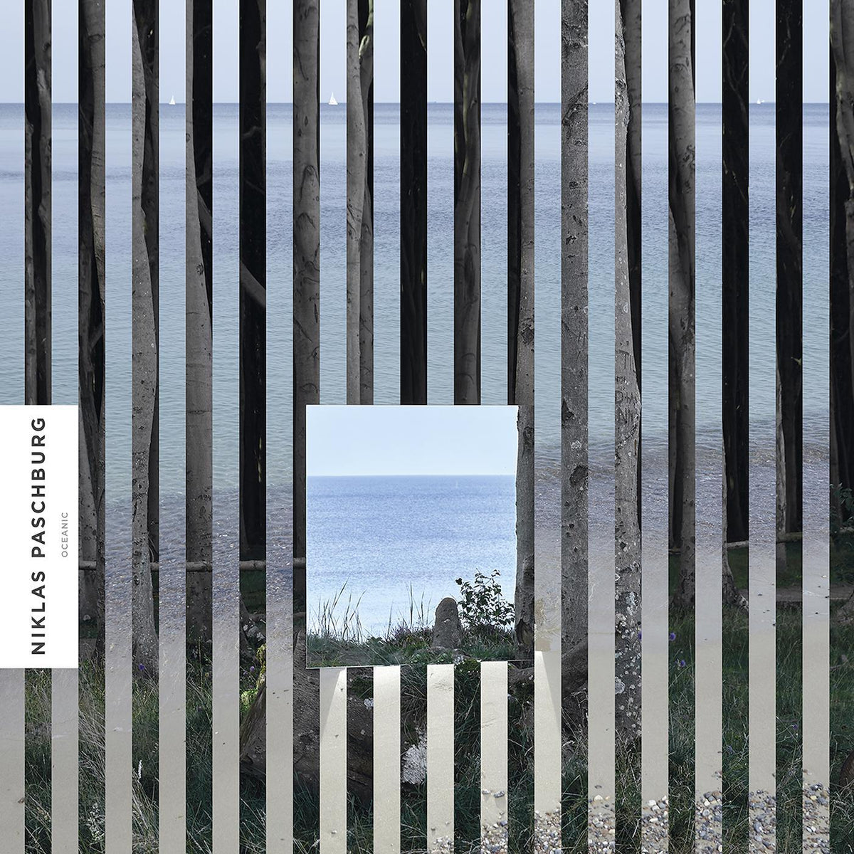 Niklas Paschburg - Oceanic - Vinyl