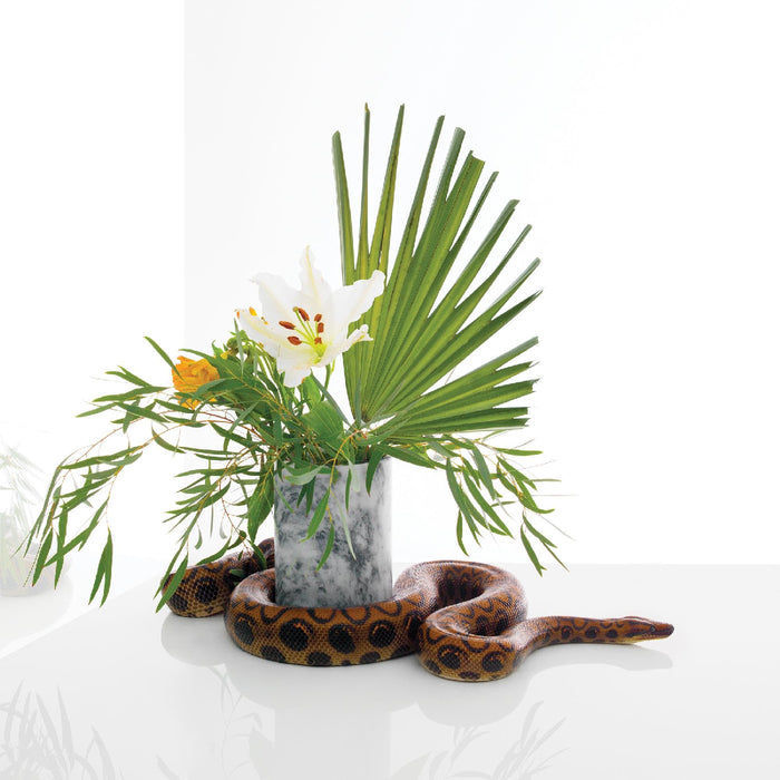 Noah Gundersen - White Noise - CD