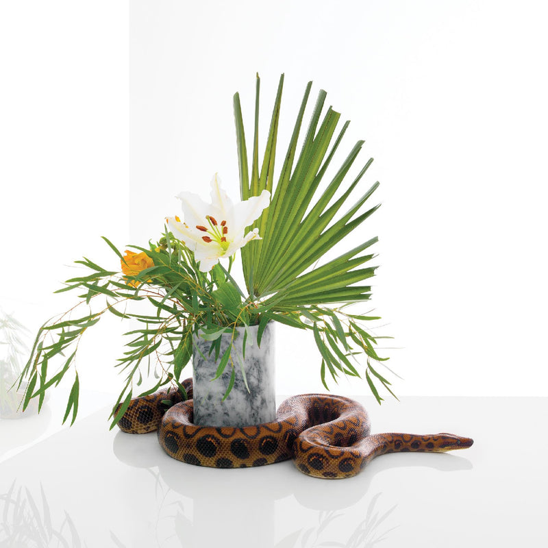 Noah Gundersen - White Noise - CD