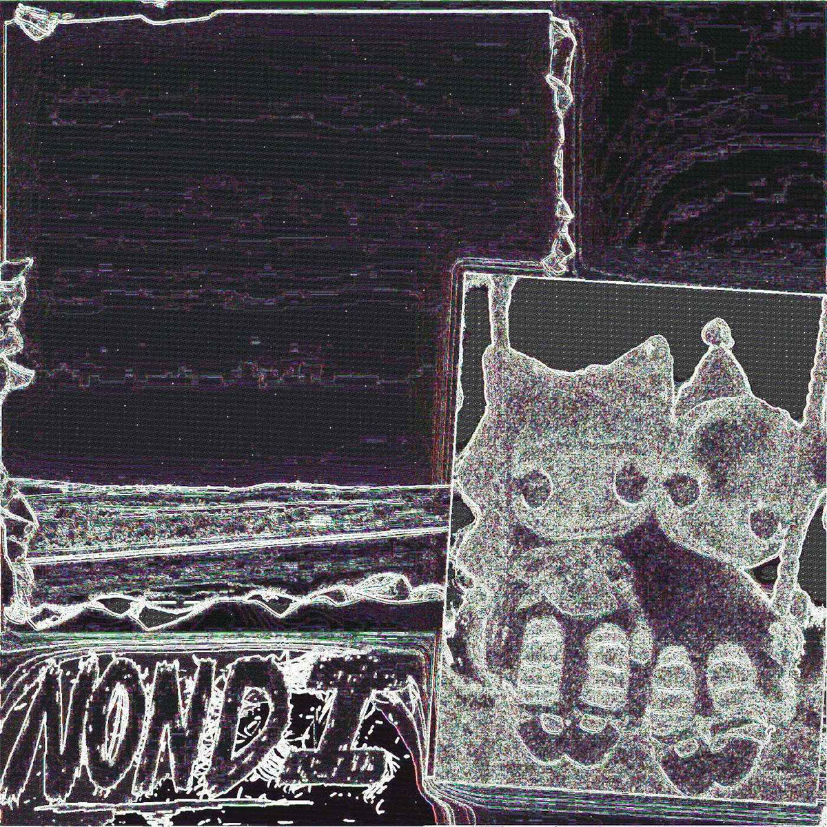 Nondi_ - Nondi... - Vinyl