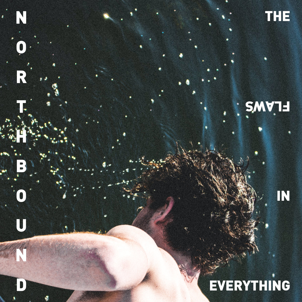Northbound - The Flaws In Everything - Vinyl