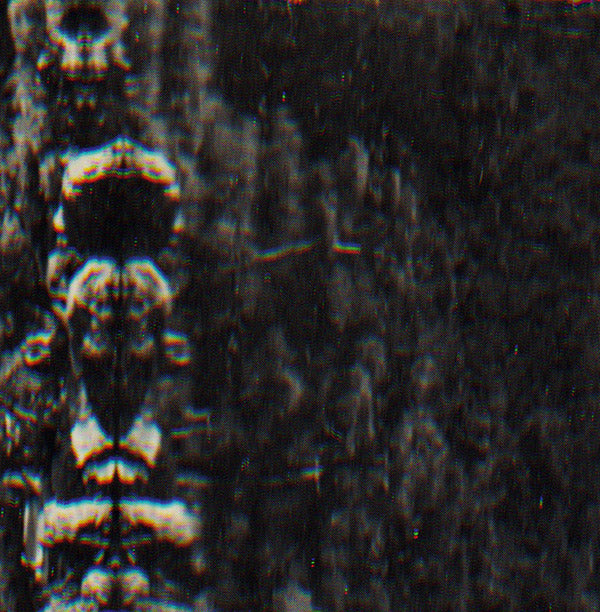 O MORTO - The Forest, The People And The Spirits - Vinyl
