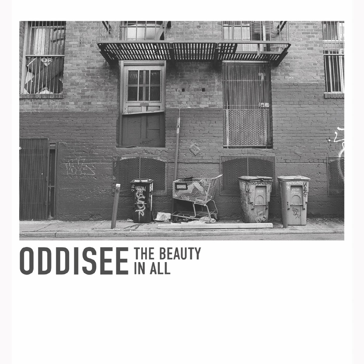 Oddisee - The Beauty In All (WHITE VINYL) - Vinyl