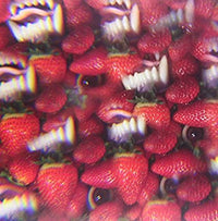OH SEES, THEE - Floating Coffin - Vinyl
