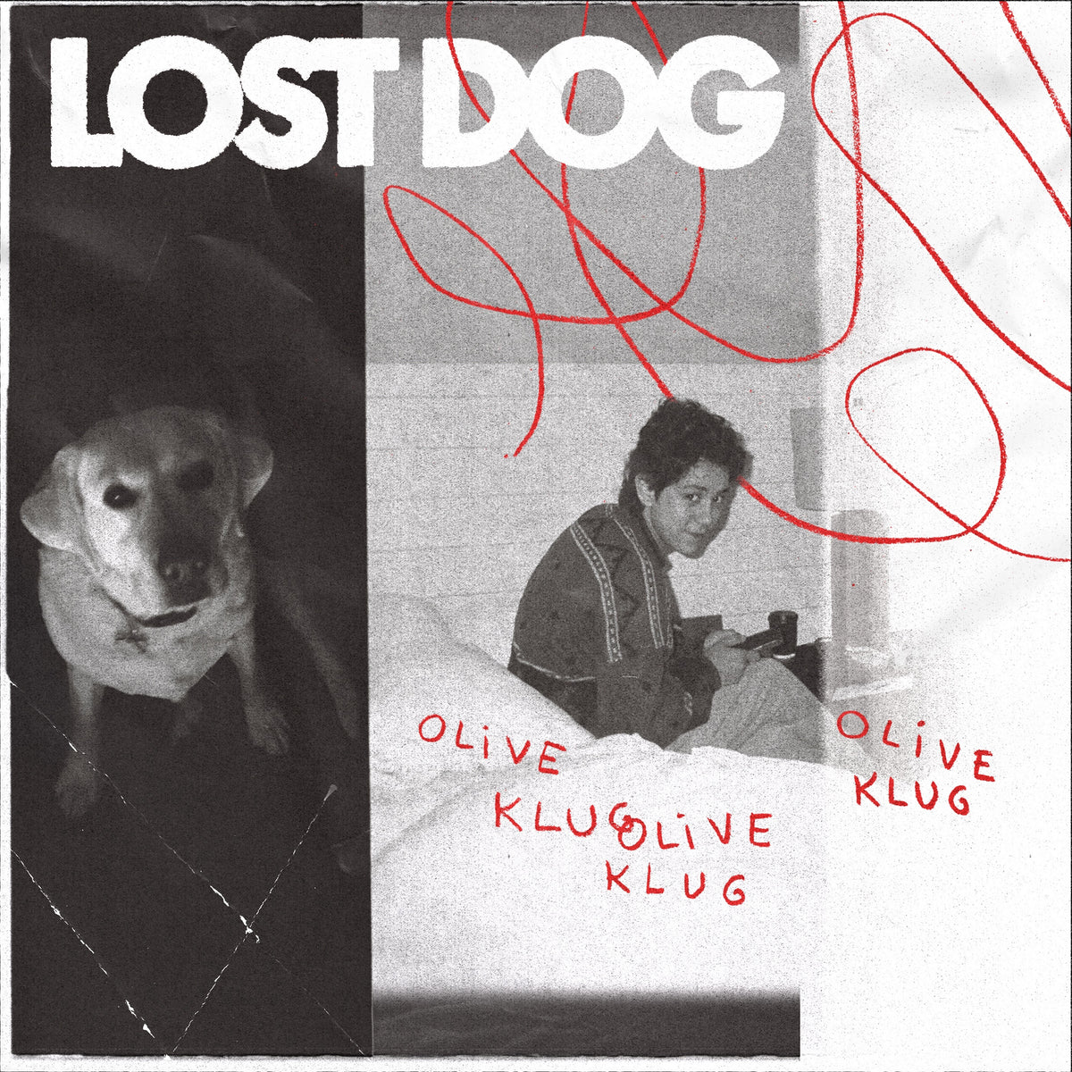 Olive Klug - Lost Dog - CD