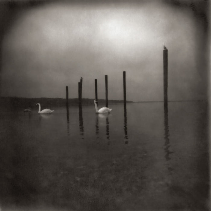OM - Conference Of The Birds - Vinyl