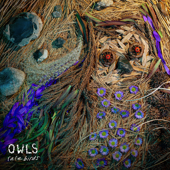Owls - Rare Birds - Vinyl