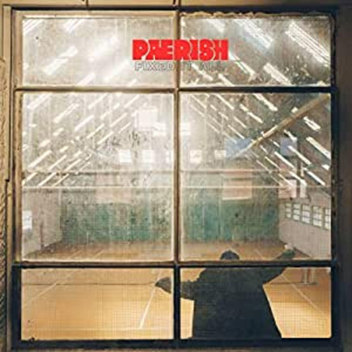 PAERISH - Fixed It All - Vinyl