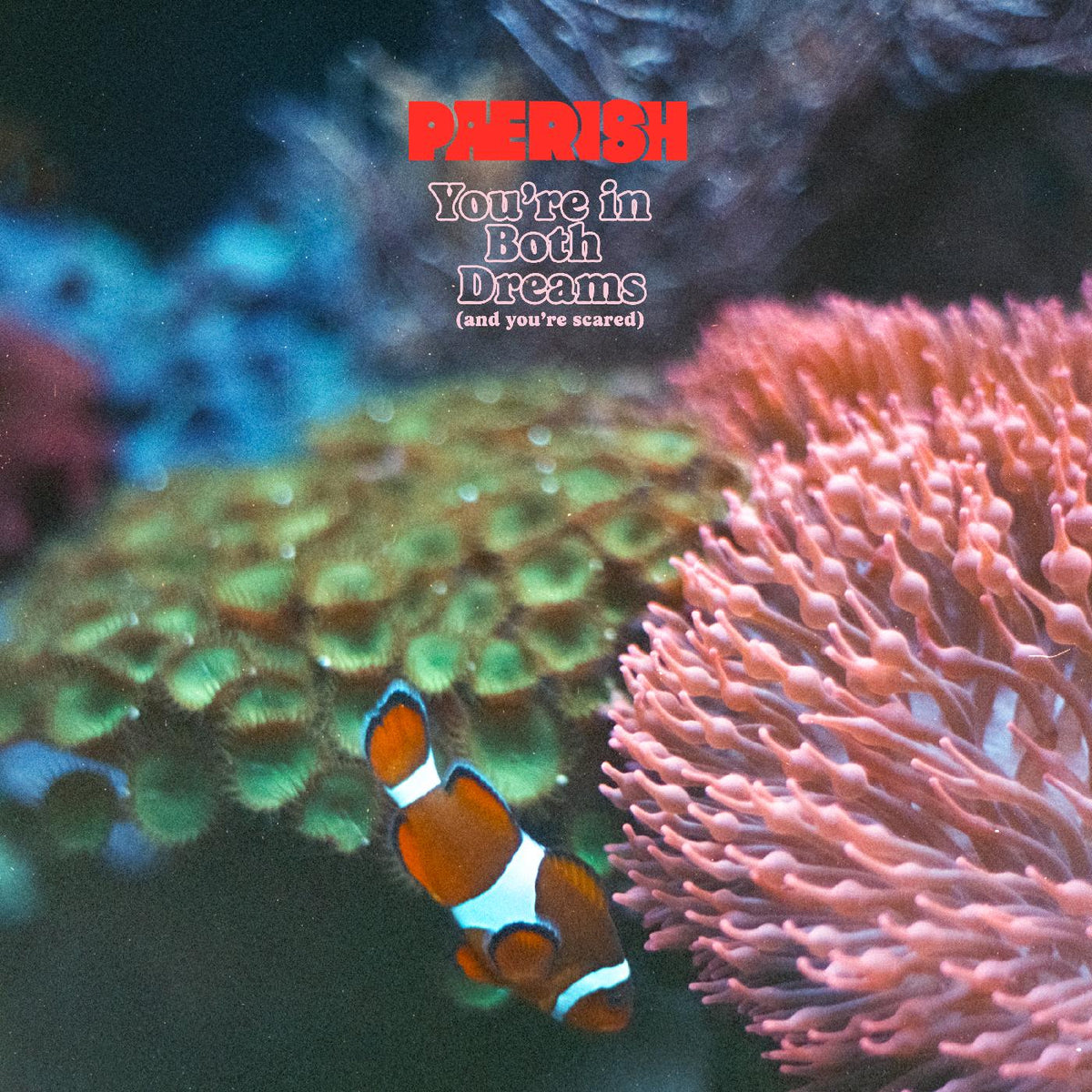 PAERISH - You're in both dreams (and you're scared) - Vinyl