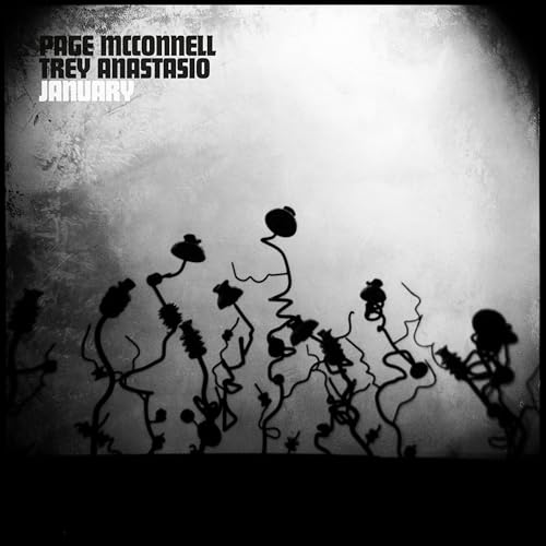 Page McConnell & Trey Anastasio - January - Vinyl
