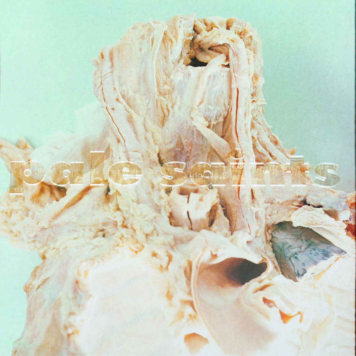 Pale Saints - In Ribbons (DELUXE EDITION) - Vinyl