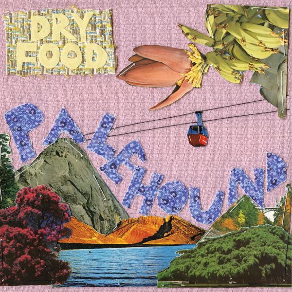 Palehound - Dry Food - Vinyl