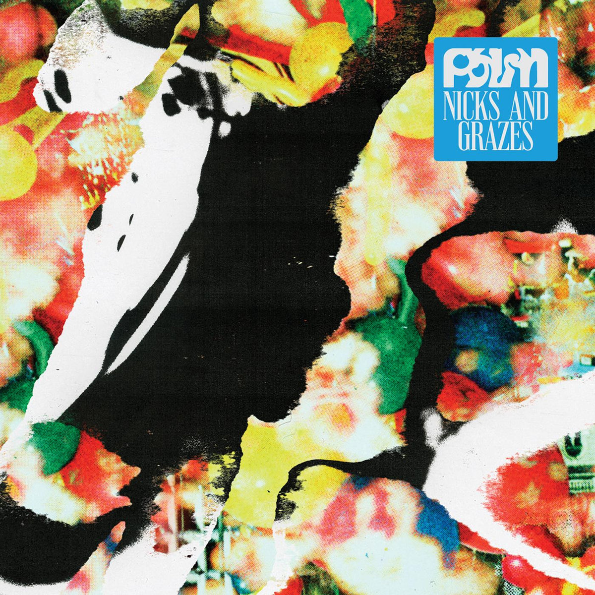 Palm - Nicks and Grazes - Vinyl