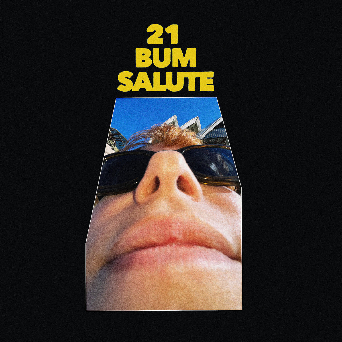 Party Dozen - 21 Bum Salute (Indie Exclusive) [Clear Vinyl] - Vinyl