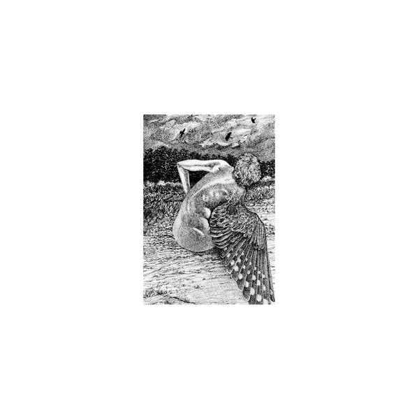 Patrick Lysaght - For The Birds [LP] - Vinyl
