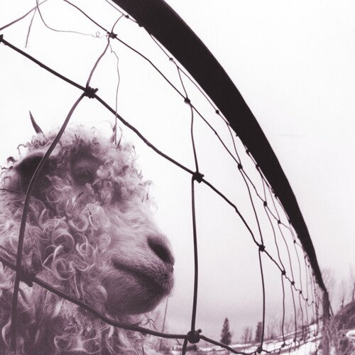 Pearl Jam - Vs. (Clear Vinyl) -