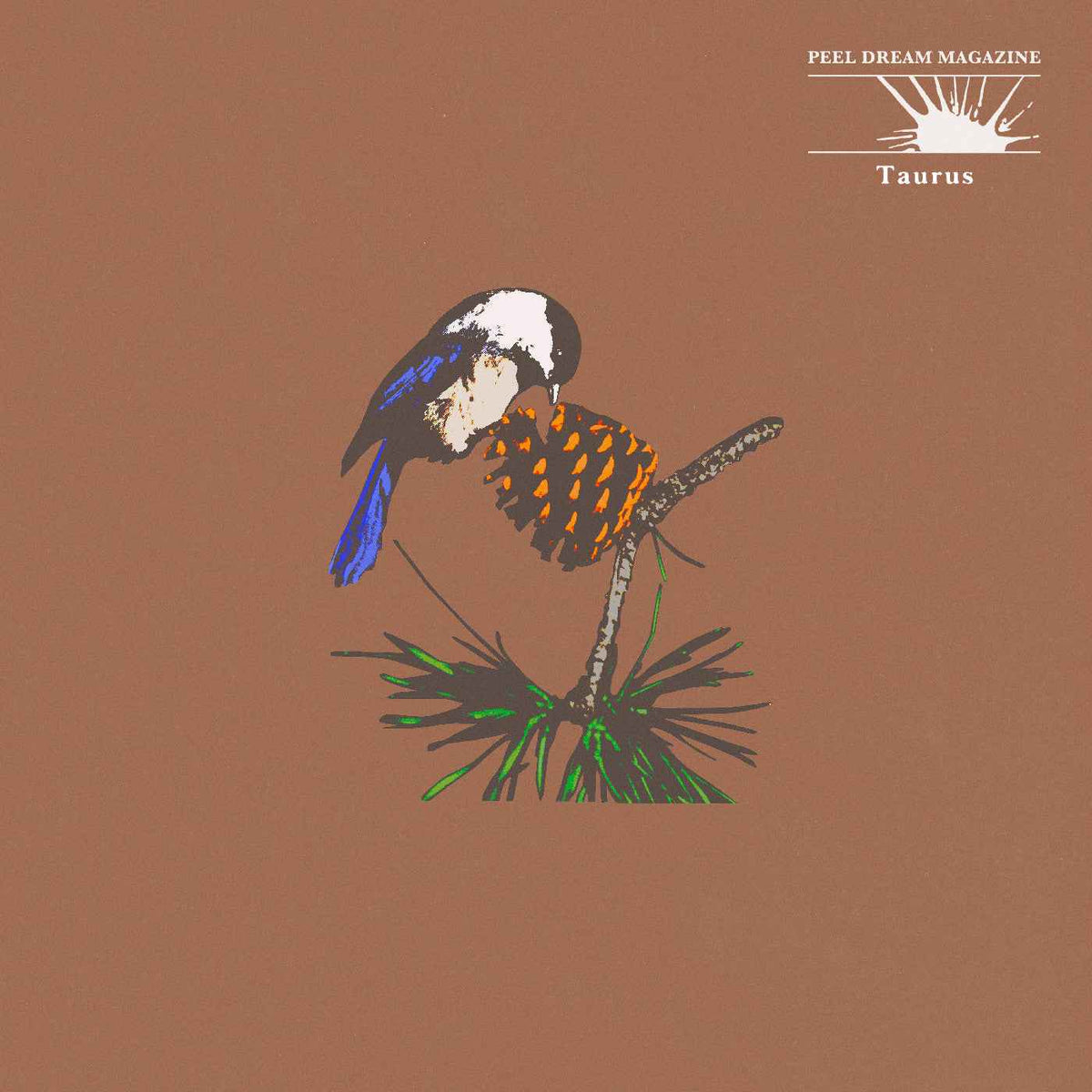 Peel Dream Magazine - Taurus (Yellow Tinted Transparent Cassette) - Cassette