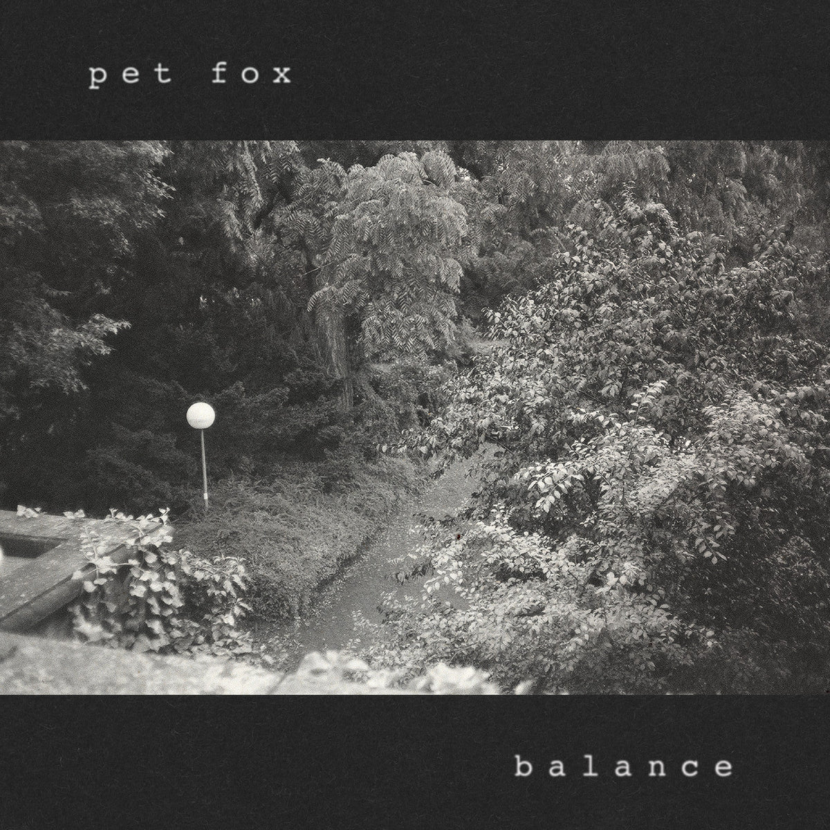 Pet Fox - Balance (Cobweb Colored Vinyl) - Vinyl