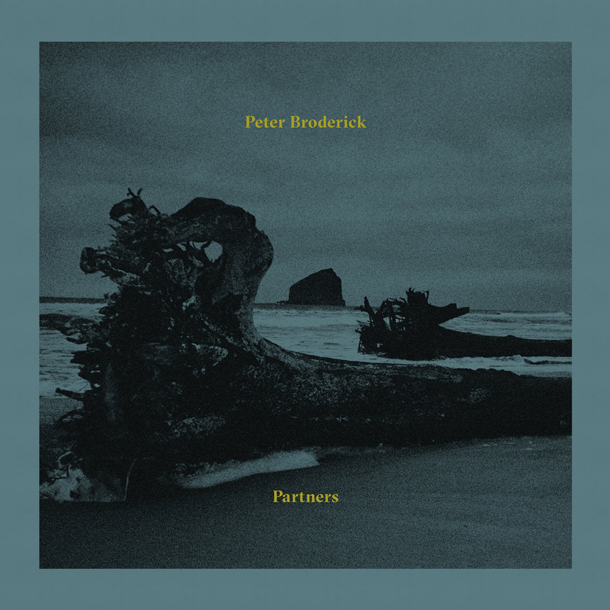Peter Broderick - Partners - Vinyl