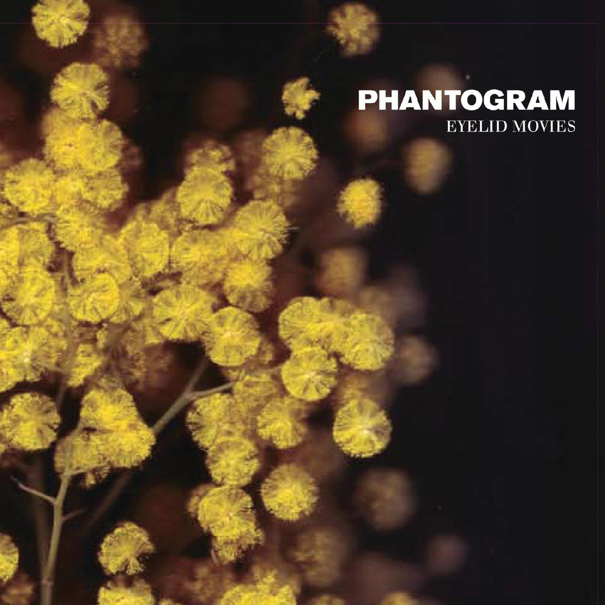 Phantogram - Eyelid Movies (DELUXE EXPANDED EDITION, BLACK-SWIRLED YELLOW VINYL) - Vinyl