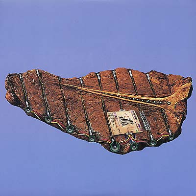 PHOENECIA - Odd Job - Vinyl