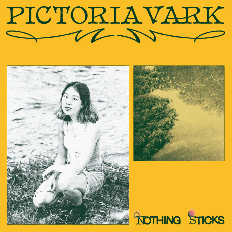 Pictoria Vark - Nothing Sticks - Vinyl