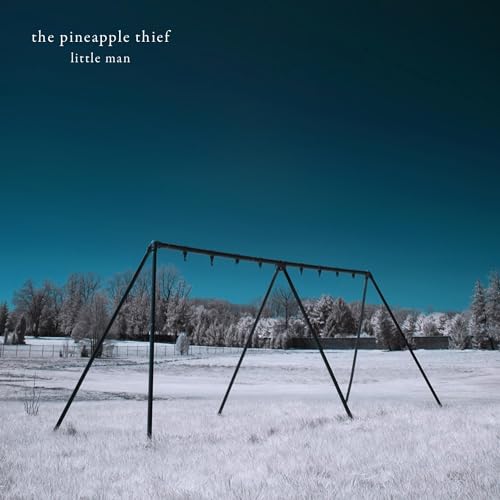 Pineapple Thief, The - Little Man - Vinyl