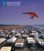 Pink Floyd - A Momentary Lapse Of Reason (180 Gram Vinyl, With Booklet, Gatefold LP Jacket) (2 Lp's) - Vinyl